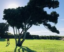 パートナーに不倫・浮気された方、相談にのります 誰にも話せず抱え込んでるお気持ちお聞きします。 イメージ1