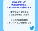 バズり無しでもTwitterフォロワーは増やせます たった24日でフォロワー1000人獲得した方法 イメージ5