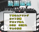 格安迅速でYouTuber用動画編集承ります 動画編集している時間がもったいない方にオススメです！ イメージ1