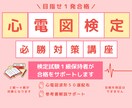 心電図検定合格を導きます 心電図検定1級保持者が心電図の判読方法を伝授します イメージ1