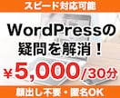 WordPress設定や操作の相談に乗ります CocoonやLightning、SWELLや有料テーマ対応 イメージ1