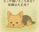 アニマルコミュニケーションします 納期3日以内を厳守！早く知りたいあの子の気持ちや行動の意味 イメージ1