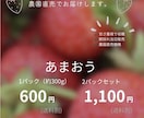 農家さん向け！直売所・マルシェ用チラシ作ります 見やすい農業チラシを丁寧に制作します。インスタにも使えます。 イメージ3