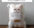 ペットロス　うちの子（犬　猫）のぬいぐるみ作ります 裏面のファーが、虹の橋を渡ったウチの子を撫でている様な感覚に イメージ6