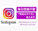 初心者大歓迎！　Instagramの育て方教えます インスタの法則をおさえれば誰でもフォロワー増やせます イメージ1