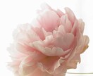 心の重りを少しでも軽くしましょうお手伝いします 専門家ではありません。友達や家族に相談する気持ちで連絡下さい イメージ1