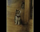 写真をアートにします 思い出の写真を特別なデジタルアート作品に変換します イメージ4