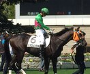 競馬予想情報売ります 馬主の家族から聞いた情報です。 イメージ1