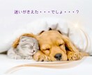 心がこわれそうな時✨あなたを輝く未来✨へと導きます タロットとオラクルが潜在意識へ紡ぐ✴️未来覚醒リーディング イメージ10