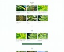 WordPressブログ（完全パック）を作成します ドメイン＆SSL化＆アフィリブログ用TOPページならおまかせ イメージ3
