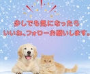 あなたの代わりに、売れるコンテンツ作ります ゼロからの面倒な商品づくり、丸ごと引き受けます！ イメージ8