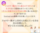 インスタの注目度UP❗日本人フォロワーを獲得します ブランド価値を高め特別な存在に⭕魅力的なインフルエンサーへ✨ イメージ5