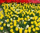 まずは1分からでもお話聞きます 心を込めてあなたのお話を丁寧に聴きます イメージ1