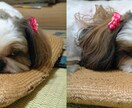 裸眼で立体視☆画像を“飛び出す3D”に加工します 普通の画像が“飛び出して見える”不思議な3D加工 イメージ5