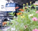 関西圏で撮影代行いたします 欲しい写真、動画をご提供します イメージ1
