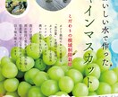シンプルなチラシを安くご提供いたします 簡単なものをリーズナブルに作ってほしい！という方必見！ イメージ5
