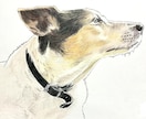ペット似顔絵を色鉛筆で2Lサイズに描きます 写真を元に色鉛筆でペットの似顔絵をリアルに描きます。 イメージ3