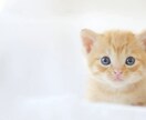話し相手になります 愚痴、話し相手がほしい方いませんか？ イメージ1