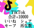 あなたのTikTokの動画を1万増加、拡散させます TikTok最大4種の振り分け自由に可！合計＋1万増加します イメージ1