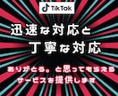 TikTok動画再生数を増加します TikTok動画宣伝します！＋50000再生回数増加確実！ イメージ3