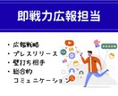 即戦力広報を月10万円で！企業の広報担当承ります 元大手企業広報・PR会社・広告会社経験のプロが戦略〜露出まで イメージ1