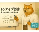 16タイプ診断「ライトプラン」をします あなたの本質的な「個性」を見抜きます イメージ1