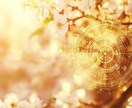 インド占星術で人生の天命を読み解きます 才能・仕事・お金・人生全般を鑑定書でお届けします イメージ3