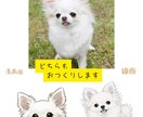 写真から作る✨２パターンうちの子イラスト制作します 2パターン作成　線画・ふんわり漫画風に！SNS・名刺にも◎ イメージ5