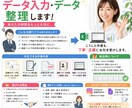 アンケート・資料データ入力をExcelで代行します 紙の情報をExcelに正確に対応します イメージ1