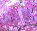あなたの代わりに写真撮影承ります 旅行代理店勤務の経験を活かして、日本中どこでも駆けつけます！ イメージ2