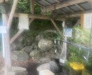 誰かと気兼ねない会話をしたい方！私が聞きます 「ちょっと変わった話もできる、気楽な相談相手」☆♪ イメージ9
