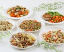 犬・猫の手作りフード教えます 動物管理栄養士が教える僕・私のご飯 イメージ2