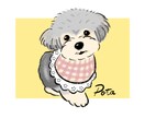 シンプル×ポップな"映える"イラストお描きします SNSアイコンやプレゼントにぴったり♩挿絵やロゴにも。 イメージ5
