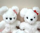 限定！手のひらサイズ可愛いテディベア売ります 限定！！10体のみ半額 手のひらサイズ可愛いテディベア イメージ7