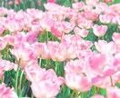 1日1組限定◇共鳴透視で復縁の可能性を暴きます 離れた魂を再び同期。彼が今あなたを思い出す瞬間を教えます イメージ4