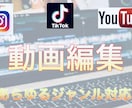 YouTuber動画編集丸投げお待ちしています 迅速かつ丁寧な対応で高品質の作品を提供いたします。 イメージ1