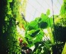 写真加工や、シンガポールにある物の写真を撮ります 依頼主の満足いくまで！何度もやり直します！ イメージ9