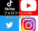 フォロワーやいいね増やし方教えます InstagramTwitterYouTubeTikTok イメージ1