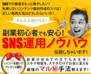 副業初心者必見！SNS運用ノウハウ伝授します コンテンツ商材の裏技公開/目指せ収益化！！ イメージ1