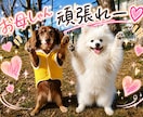 大切なペットの衣装デザイン承ります スーパーマンやお姫様、海賊など、コスチューム表現が可能です。 イメージ3