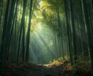 六層鑑定 あなたの深層構造のズレを整えます 恋愛・仕事・金運 あなた自身では認識できない領域を視ます イメージ8