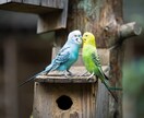 恋愛で困ったら…、いろいろな内容の相談に乗ります 「付き合いたい！別れたほうがいい？こんな時はどうしたら？」 イメージ9