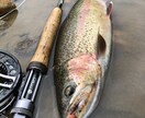 虹鱒 【釣り】 北海道の虹鱒をフライで狙う！ます ワイルドレインボー ハンティングメソッド イメージ9