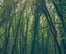 今を知り未来が変わる一歩を後押しするお手紙送ります 今を深く見つめ直すことで新しい気づきが生まれるかもしれません イメージ7