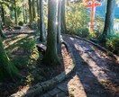 恋愛霊視｜彼の本音と魂を読み解き「逢瀬」を導きます 一人で抱え込み、苦しくなっている恋に イメージ3