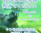 お話し聞きます こんにちは、一生懸命聞きます。頑張って聞きます。 イメージ1