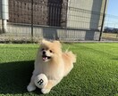 悩み相談・愚痴聞きします 一人で抱え込まず気軽にお話しください、いつでも寄り添います イメージ2