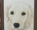 お写真からペットの似顔絵を描きます アナログで温かさを大切に描きます。 イメージ3