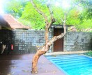 家族、夫婦、彼女、ペットとの旅の相談にのります 宿泊、行先、コースなど(国内、海外) イメージ7