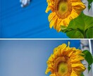 電線等不要物の映り込みを消します これさえなければ！という写真のお悩みを解決します イメージ2